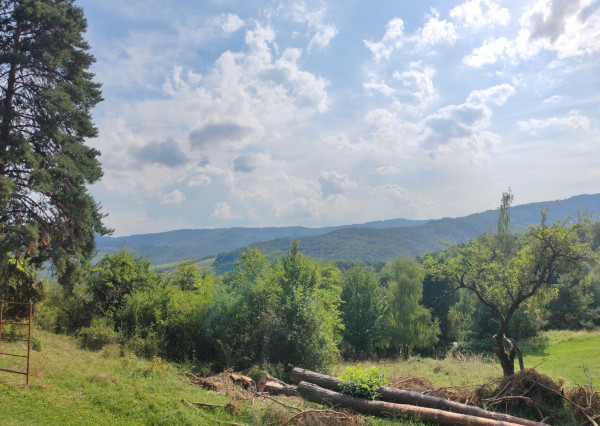 Apartmán s liečivou klímou