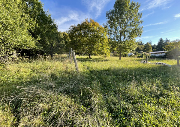 Znižená cena -predaj pozemku v interaviláne obce Sklené - Turč,Teplice