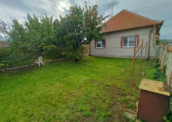 Predám starší rodinný dom v Hrušovanoch.