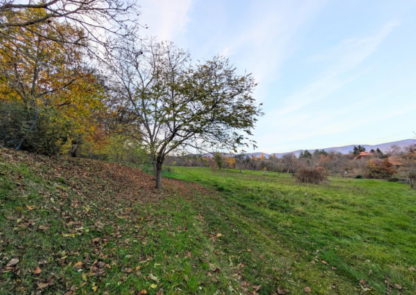 Predaj pozemku - Čaradice (1236-14-AFI)