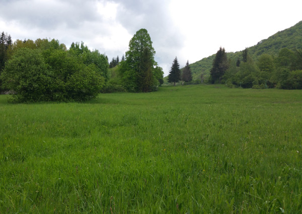 Pozemok na rekreačný objekt v obci Belá, okr. Žilina, 450m2