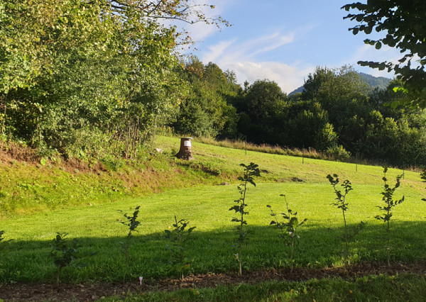 Pozemok na rekreačný objekt v obci Belá, okr. Žilina, 500m2