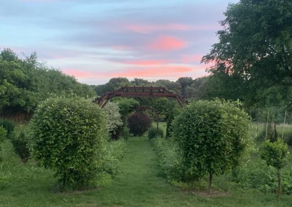 Pozemok 7 400 m² len 19 km od hranice Košíc!