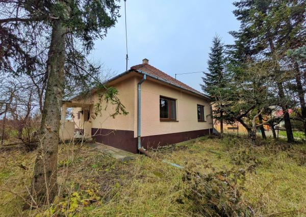 Predaj, rodinný dom - Dvorníky / Hlohovec (1238-12-AFI)