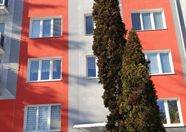 2izbový byt v centre Rožňavy za výhodnú cenu