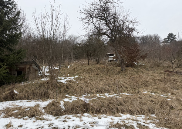 Hľadám rovinatý  pozemok, v okolí  RV do 5000 m2 -Kúpa