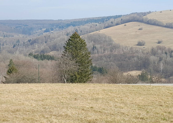 Pozemok s domom v srdci prírody  Žítková pri Trenčíne