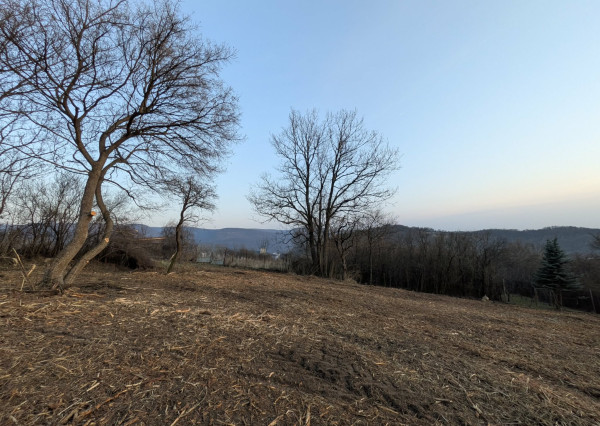 Predaj, rekreačný pozemok - Hronský Beňadik (1246-14-AFI)