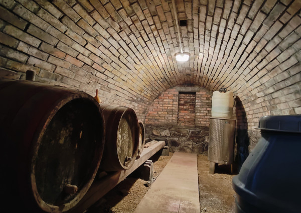 Domček vo vinohradoch Čechynce 11 á pozemok-aj na bývanie