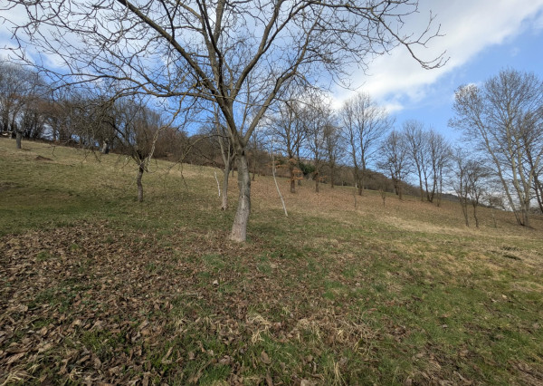 Predaj, stavebného pozemku - Nová Baňa (001-14-ZOLA)