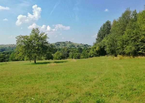 Predaj, rozľahlý slnečný pozemok- Nová Baňa (004-14-ZOLAa)