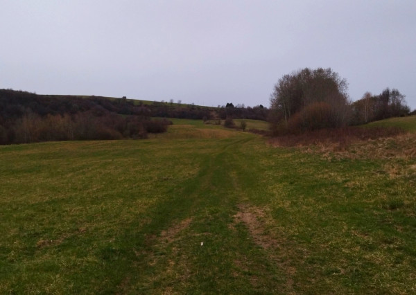 Predaj, pozemok s možnosťou stavby- Jastrabá (010-14-ZOLA)