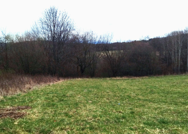 Predaj, rozľahlý pozemok- Jastrabá (011-14-ZOLA)