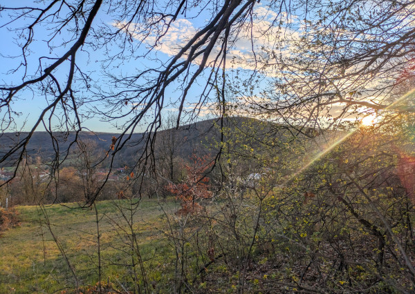 Predaj, pozemok - Jedľové Kostoľany (1249-14-AFI)