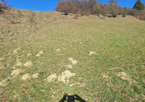 Stavebný pozemok v obci Chlebnice  1649m2 ID: 010-14-STSAa