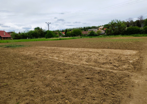 Predaj, pozemok - Bory (004-14-SIHA)