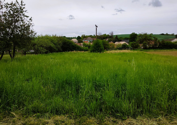 Predaj, stavebný pozemok 892 m²- Bory (002-14-SIHA)