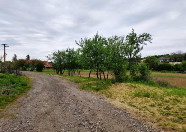 Predaj, pozemok - Bory  (003-14-SIHA)