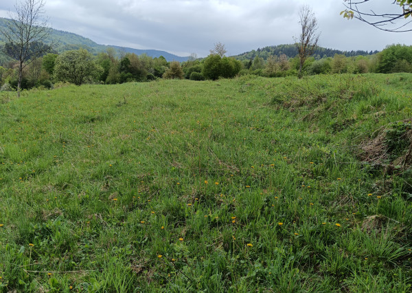 Predaj: Investičný pozemok, 1112m2, Terchová (260-14-MACH)