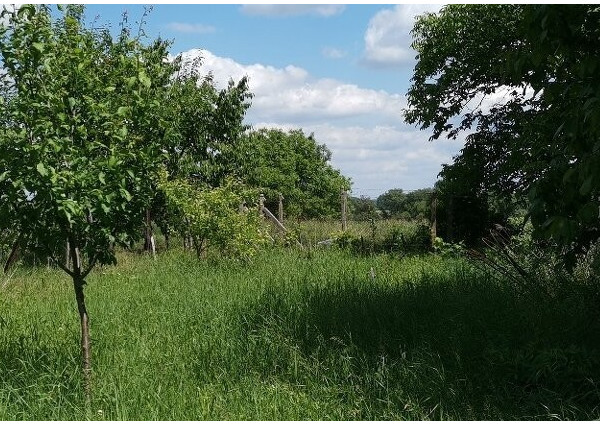 Predaj, stavebný pozemok - Šahy / Tešmák (022-14-MIMI)