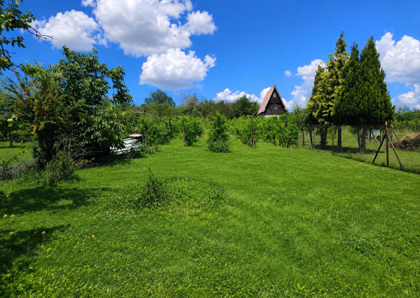 Predaj, pozemok Staré Levice (055-14-SIHA)