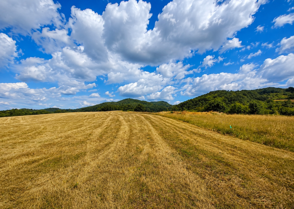Predaj, stavebný pozemok - Horné Hámre (058-14-SIHA)