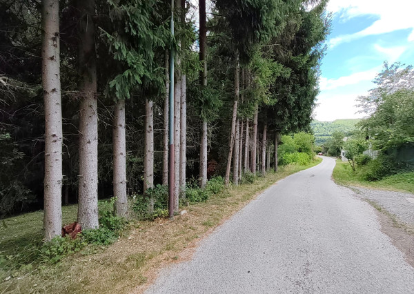 Predaj, 3 výnimočné pozemky, Ostrý Grúň ( 025-14-ZOLA)