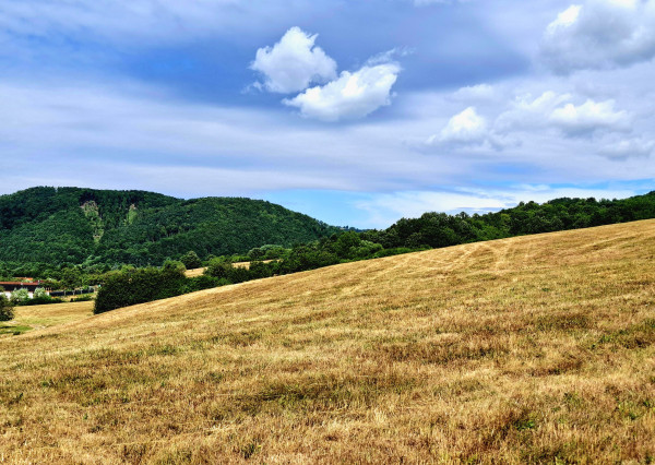 Predaj, slnečný stavebný pozemok- Horné Hámre (026-14-ZOLA)