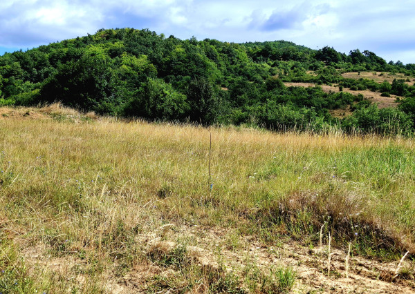 Predaj- stavebný pozemok, Horné Hámre ( 027-14-ZOLA)