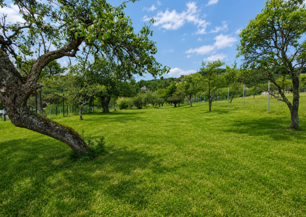 EXKLUZÍVNE, Stavebný pozemok 1 972 m² - Pukanec (062-12-SIHA)