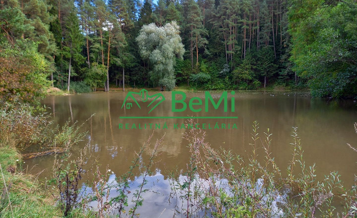 Predaj: Pozemok, 27 455m2, Turčianske Teplice (012-14-MAB) - fotografia 5