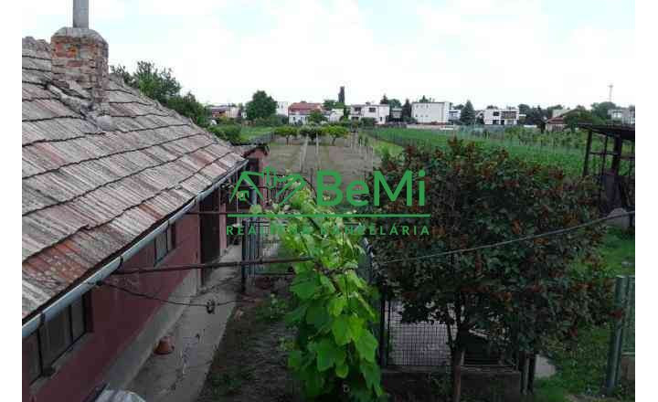 Predaj rodinný dom, veľký pozemok, obec Veľký Kýr  (1069-12-RP) - fotografia 16