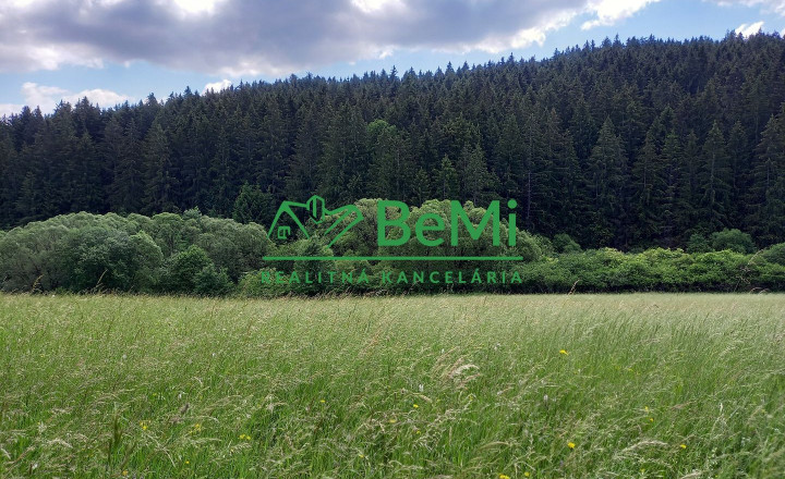 Predaj: Pozemok 7559m2,  Dolný Hričov - Peklina (005-14-BOC) - fotografia 4