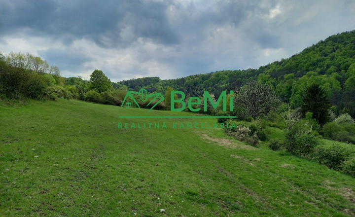 Predaj, pozemky, obec Paština Závada, Žilina (066-14-BOC) - fotografia 1