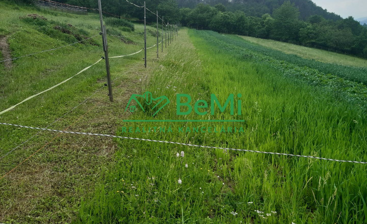 Predaj, pozemky, obec Paština Závada, Žilina (066-14-BOC) - fotografia 3