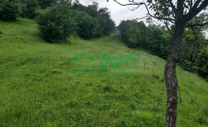 Predaj, pozemky, obec Paština Závada, Žilina (066-14-BOC) - fotografia 5