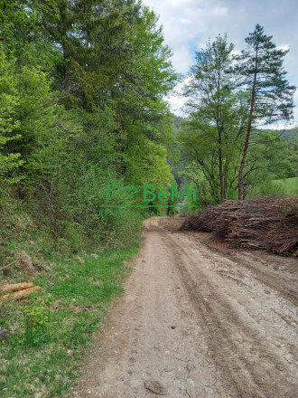 Predaj, pozemky, obec Paština Závada, Žilina (066-14-BOC) - fotografia 7