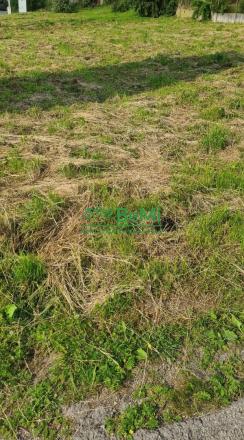 Predaj: Stavebný pozemok 871m2,Svrčinovec,Čadca (784-14-JAS) - fotografia 4