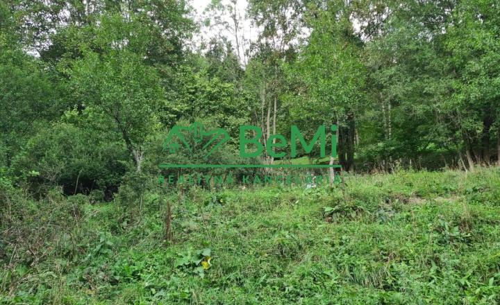 Predaj: Rekreačný pozemok 1432m2, Turkov (727-14-JAS) - fotografia 1