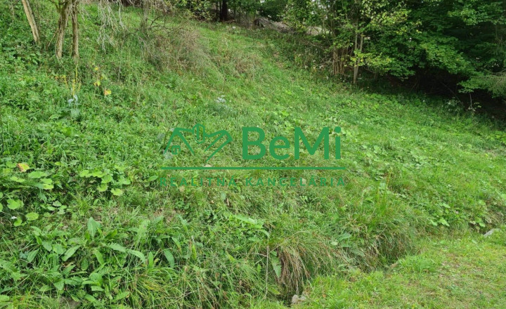 Predaj:Rekreačný pozemok, 3385m2,Turzovka, Čadca(728-14-JAS)