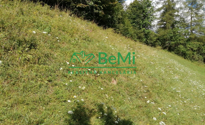 Predaj: Pozemok 784m2, Terchová (032-14-MACHa) - fotografia 1