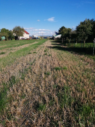 Exkluzívne len u nás! Krásny pozemok na predaj v obci Sačurov - fotografia 2