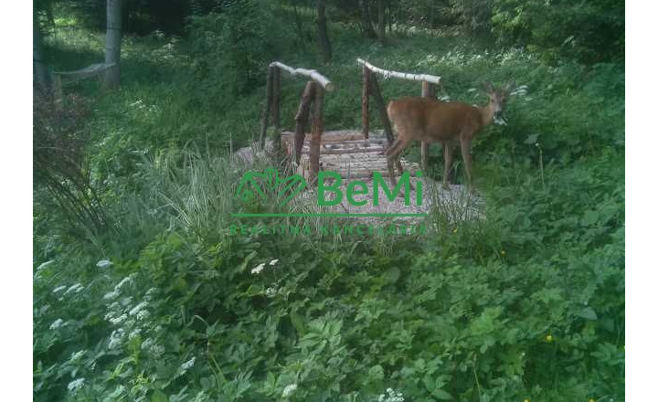 Predaj: Rodinný dom,118m2, pozemok 4223m2, Čadca-Podzavoz (125-12-MACHa) - fotografia 40