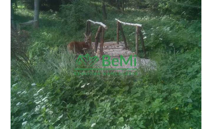 Predaj: Rodinný dom,118m2, pozemok 4223m2, Čadca-Podzavoz (125-12-MACHa) - fotografia 41