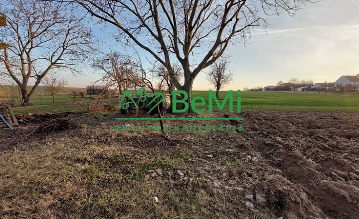Predaj - starý rodinný dom v obci Radošina ID 118-12-LUGUa - fotografia 6
