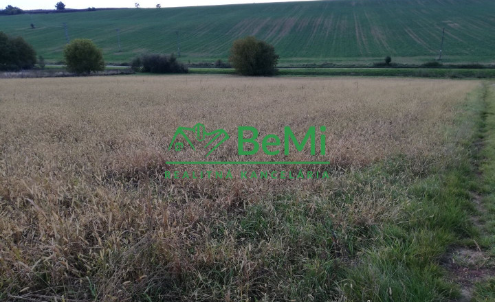 EXKLUZÍVNE - Na predaj investičný pozemok Nitra. 4316 m2 - fotografia 3