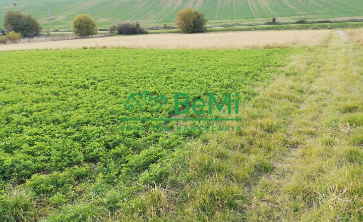 EXKLUZÍVNE - Na predaj investičný pozemok Nitra. 4316 m2 - fotografia 4