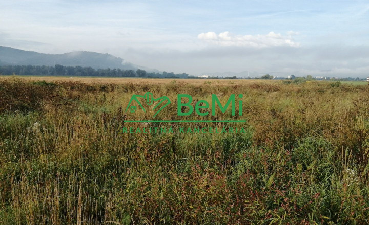 Predaj: investičný pozemok,90 841m2, Kotešová (205-14-MACHa)