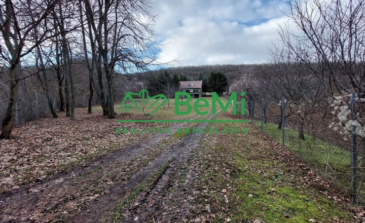 Predaj - Strelnica s poľovníckou chatou v okrese Hlohovec - fotografia 8