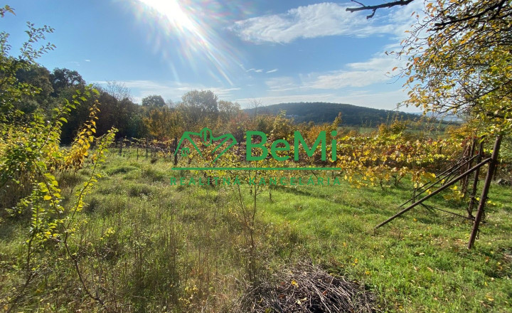 Pozemky Nitra Dražovce " pod Zoborom " ID 528-14-MIG - fotografia 1
